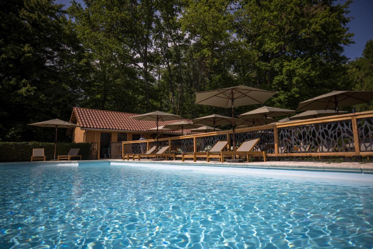 Chateau Des Ayes - Chambres & Suites Saint-Étienne-de-Saint-Geoirs Kültér fotó